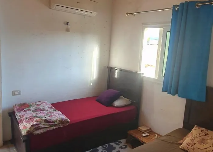 House Small *